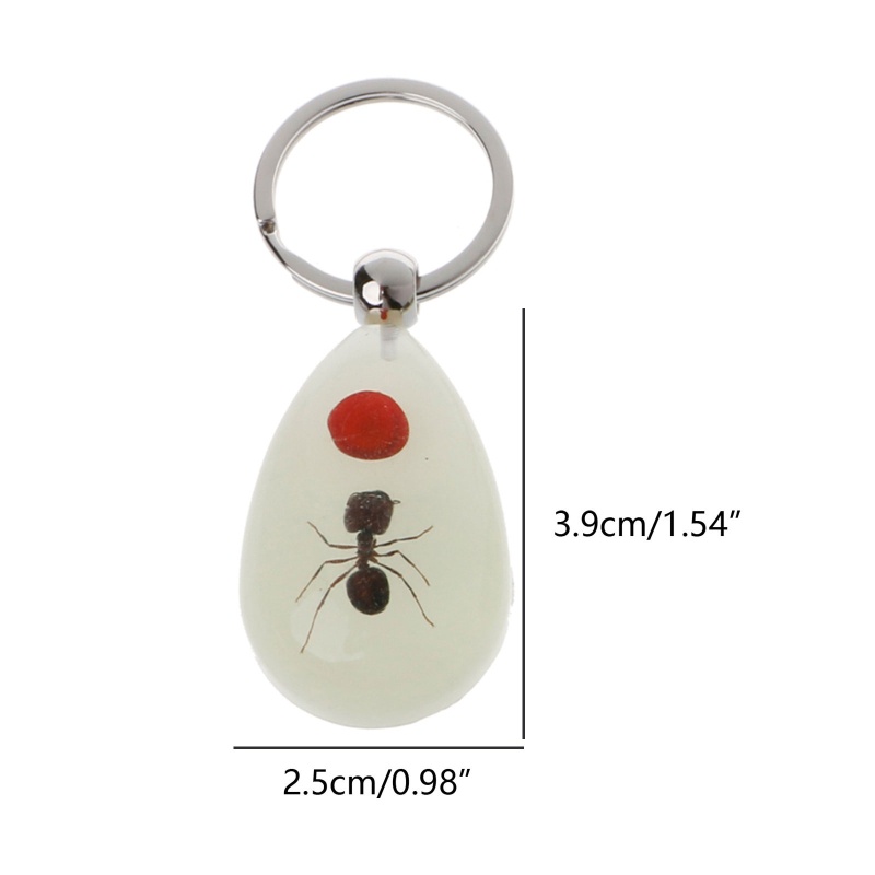 Siy Luminous Amber Insect Keychain Black Scorpion Resin Untuk Gantungan Kunci Glow in the Dark Liontin Dengan Sample Serangga Di Dalam