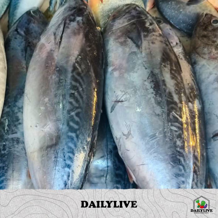 Ikan Jeruk Pasar Filipina