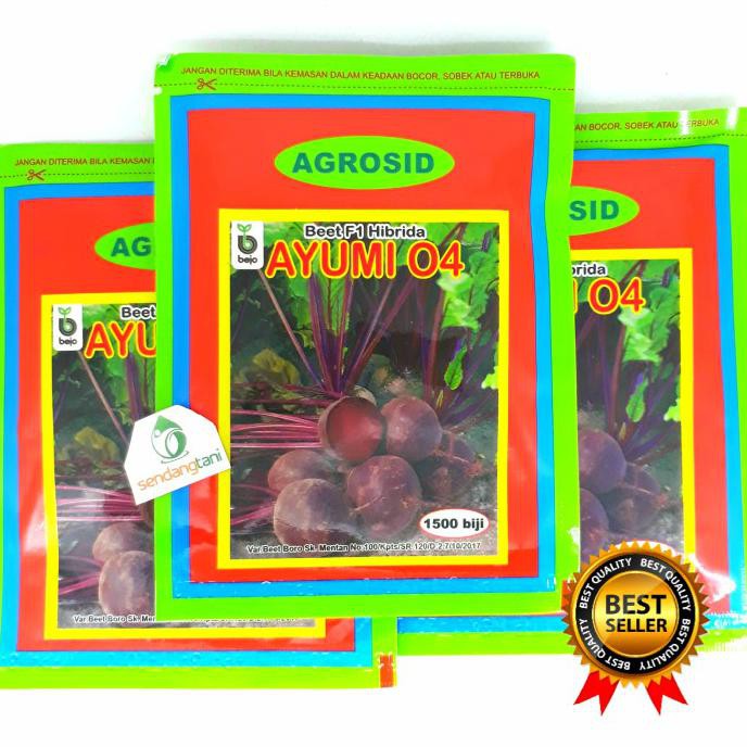 TERLARIS Benih Bibit Buah Bit Beed AYUMI 1500 biji