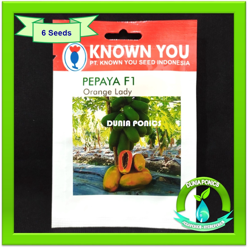 Benih Bibit Pepaya California Orange Lady Known You Seed Original Pack