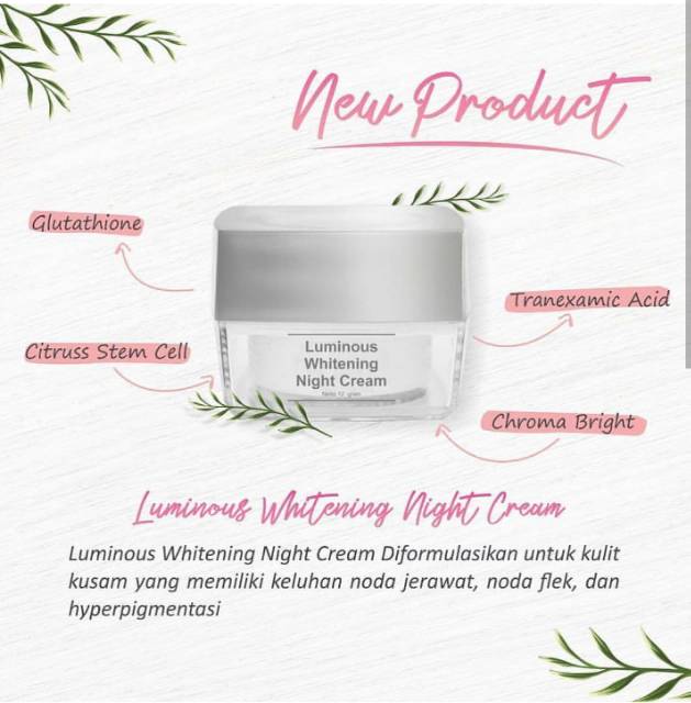 MS GLOW NIGHT CREAM