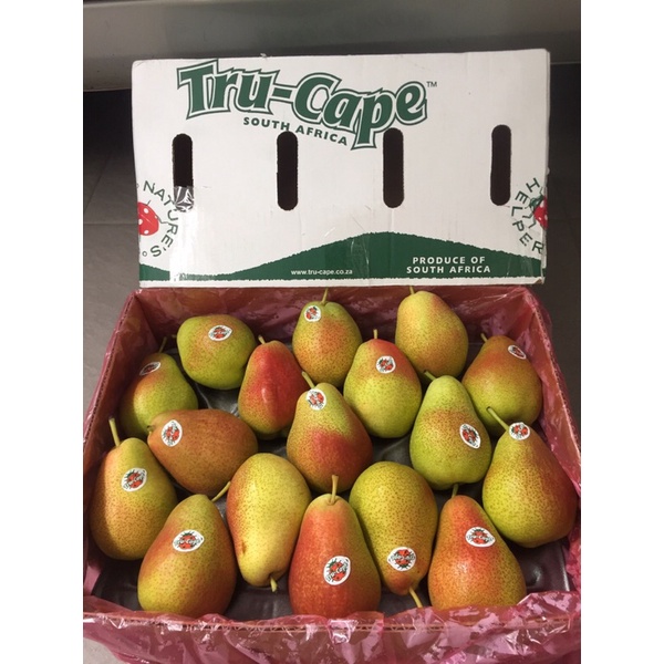 

Buah Pear Pir Forelle Tru Cape 1 Dus (12,5KG) Fresh Import