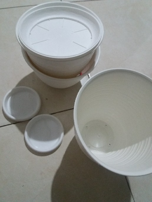 Ori 100% Pot Tawon Tinggi Pirus / Tirus 18 Cm + Tatakan Asli Budi Jaya Bjp Bunga Pupuk Daun Bibit