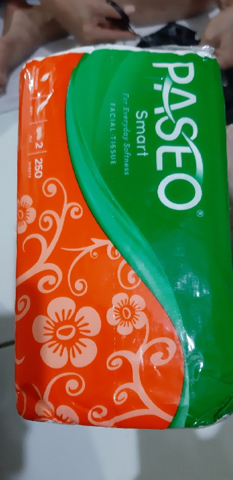 Tissue Paseo Smart 250s 2 Ply