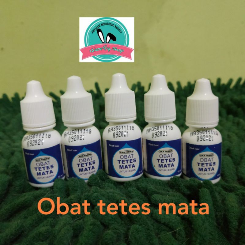 obat tetes mata hewan