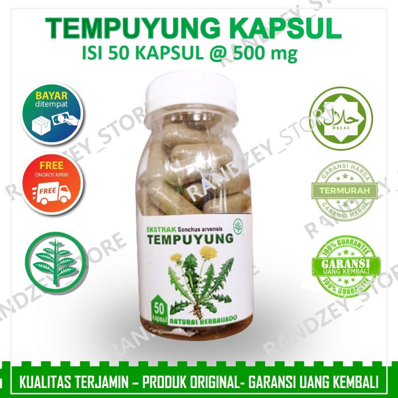 Obat Herbal Batu Empedu Peluruh Batu Empedu Secara Alami Tanpa Operasi kapsul tempuyung gempur batu