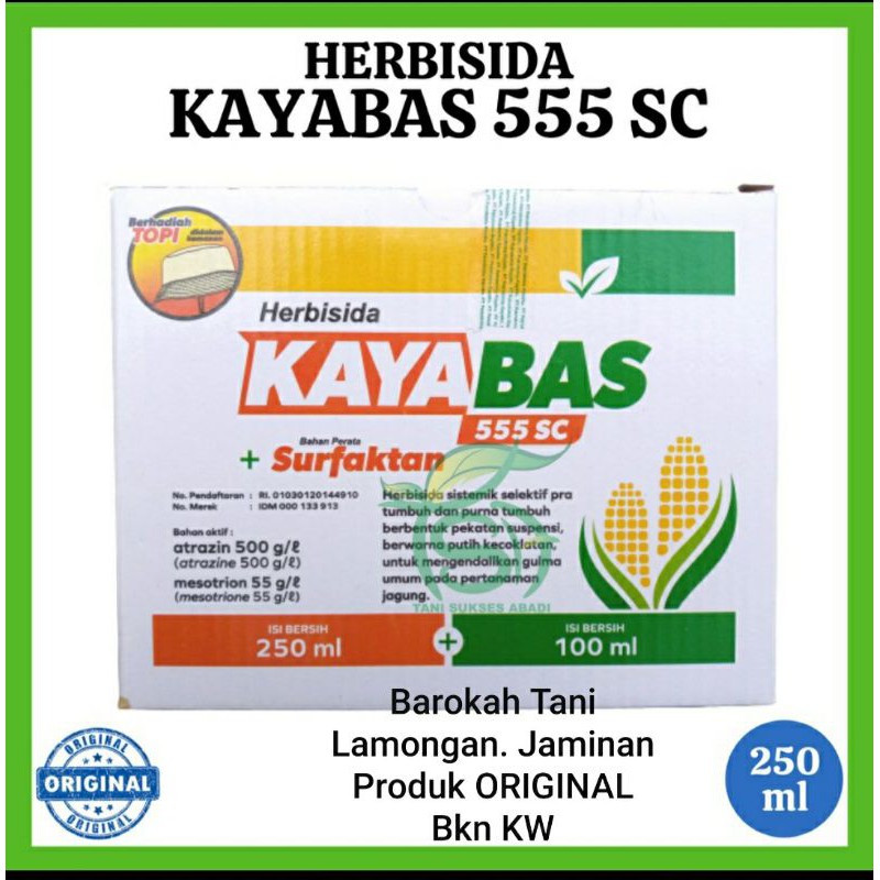 KAYABAS HERBISIDA UNTUK JAGUNG