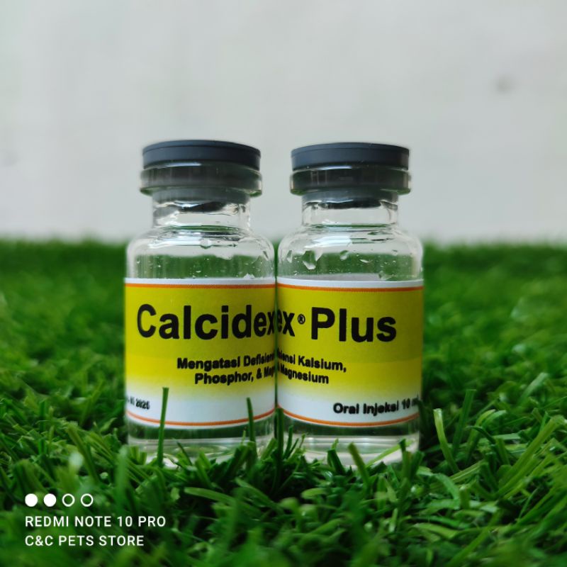 Calcidex Plus Oral Injeksi 10 ml