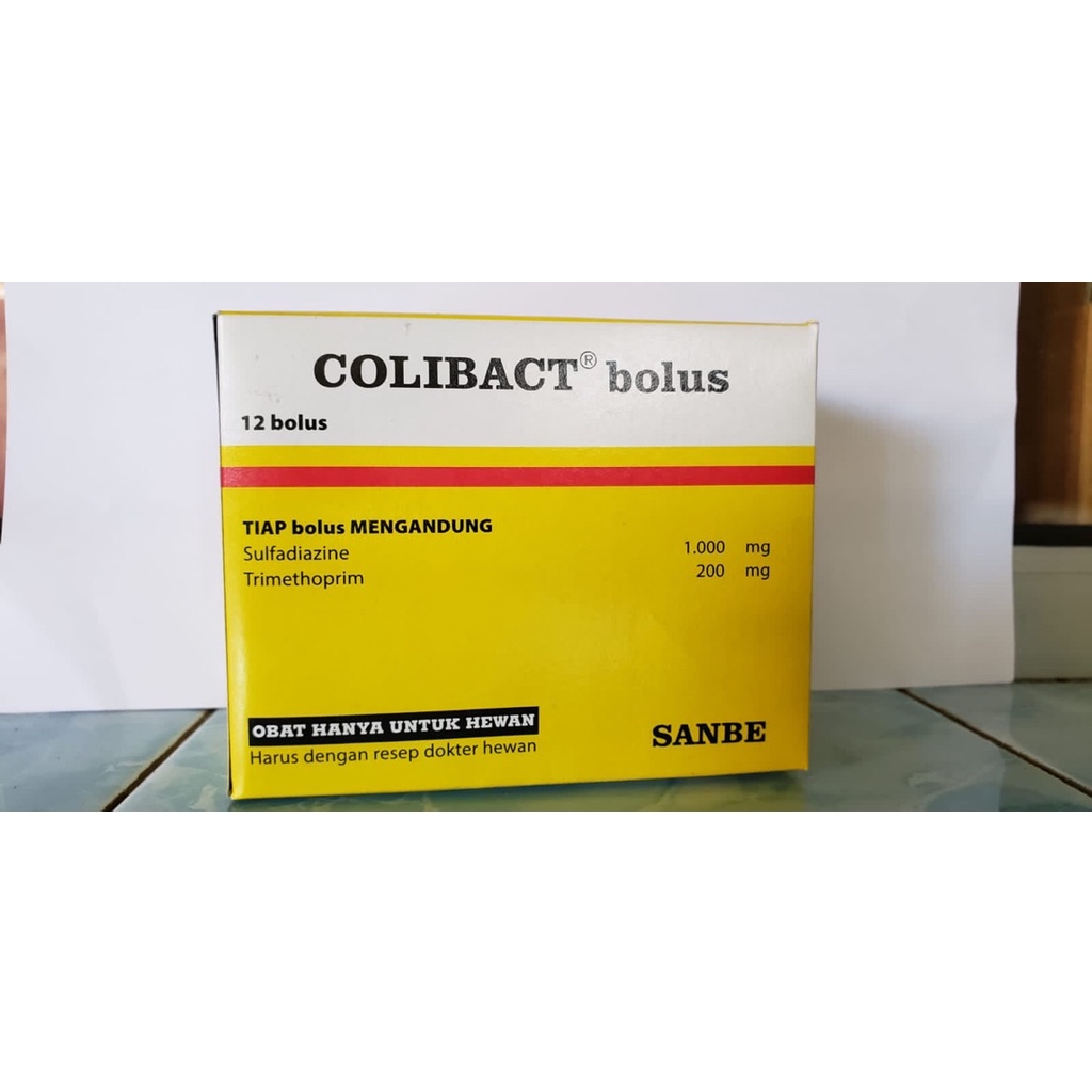 Colibact Bolus