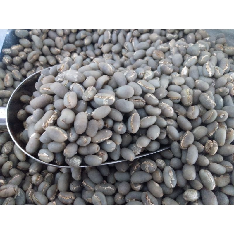 

BIJI KOPI ARABIKA GAYO PEABERRY 1 KG | CUBECO