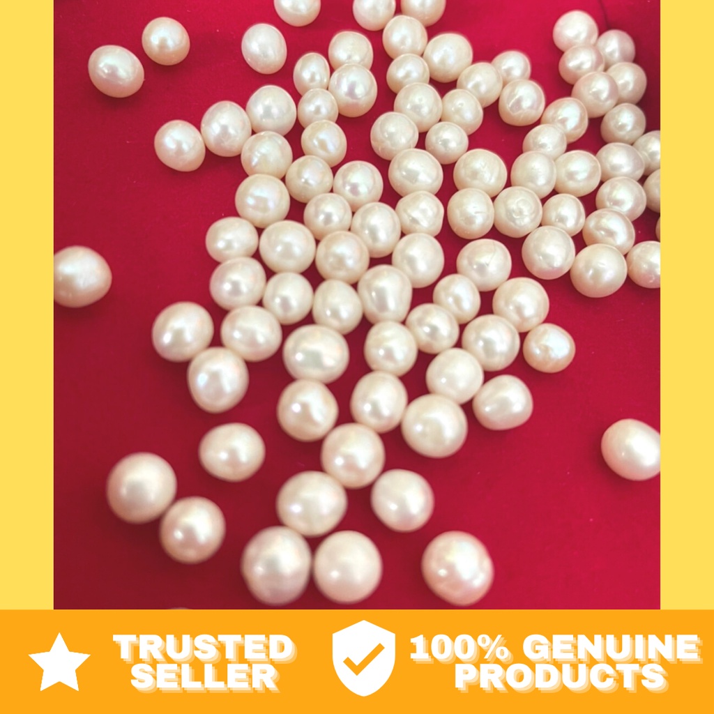 MUTIARA AIR TAWAR KECIL KENDARI (ASLI)