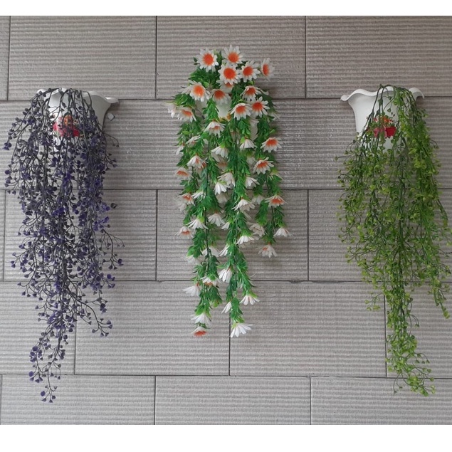 [Pot+Bunga] Hiasan Dinding Bunga Dinding Tanaman Rambat Bunga Gantung