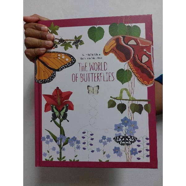 The World of Butterflies