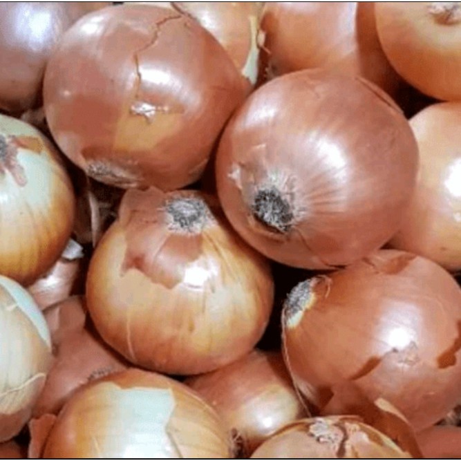 

Bawang Bombay satuan per buah
