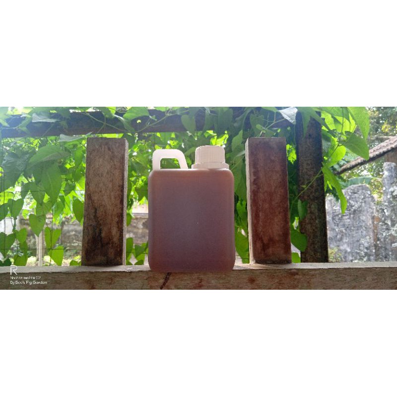 

Madu Trigona 500 ml