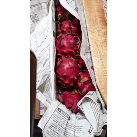 

buah naga merah