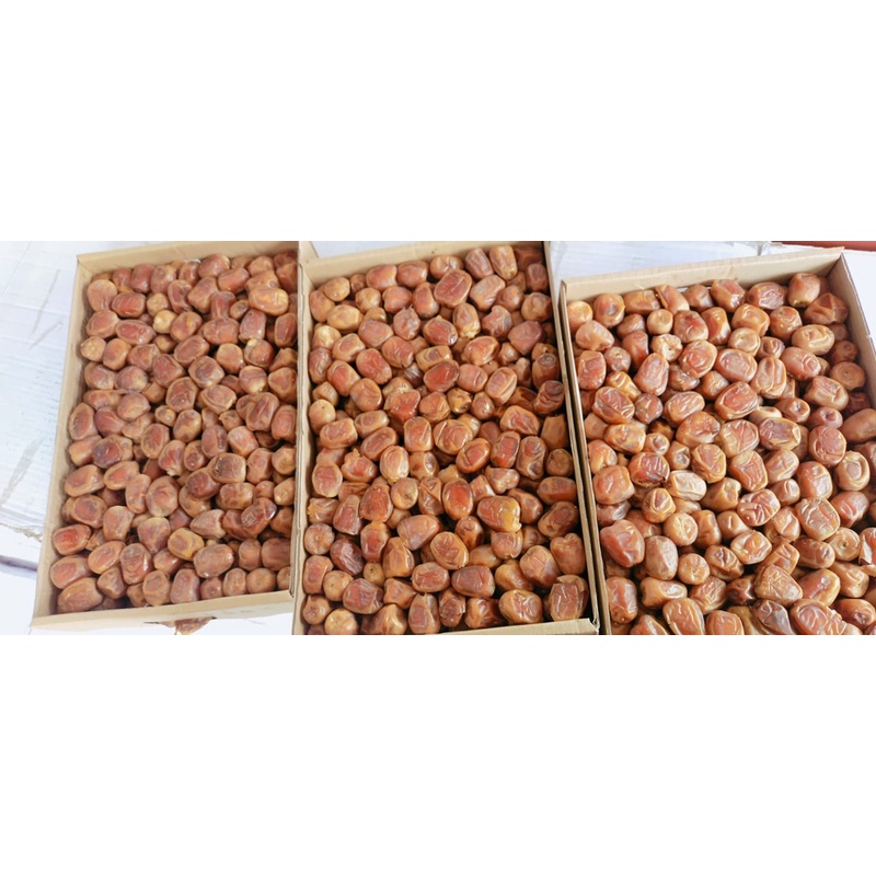 

kurma sukari