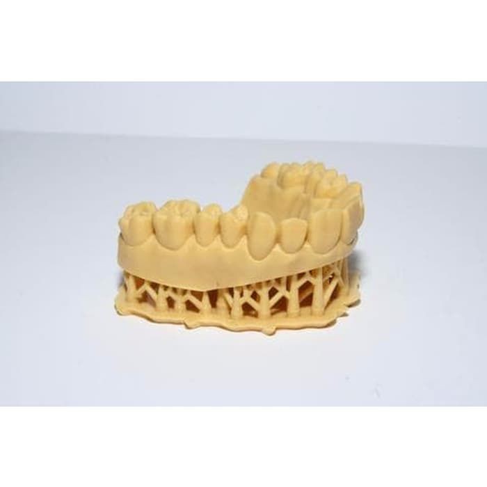 Original Formlabs Form 2 and 3 Dental Model Resin for 3D Printing