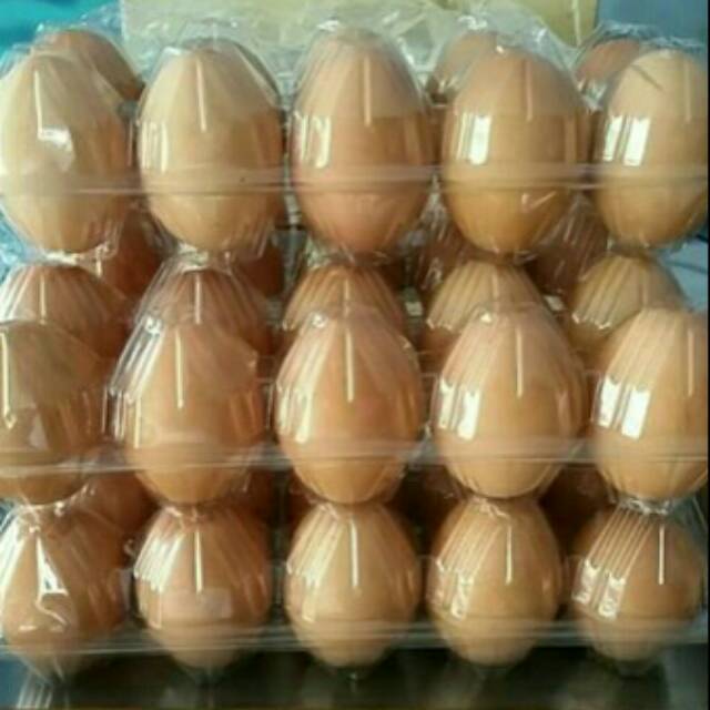 telur 10 pcs