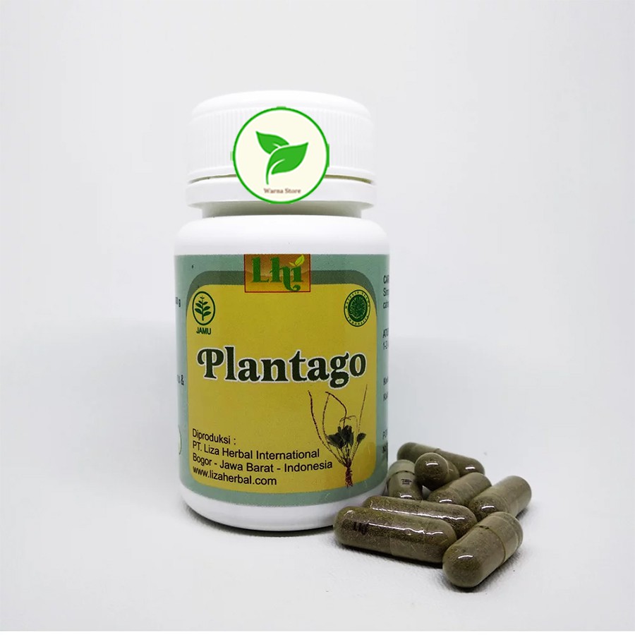 Plantago Liza Herbal Untuk Pegal Linu