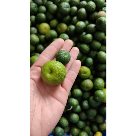 

jeruk limo per 10kg
