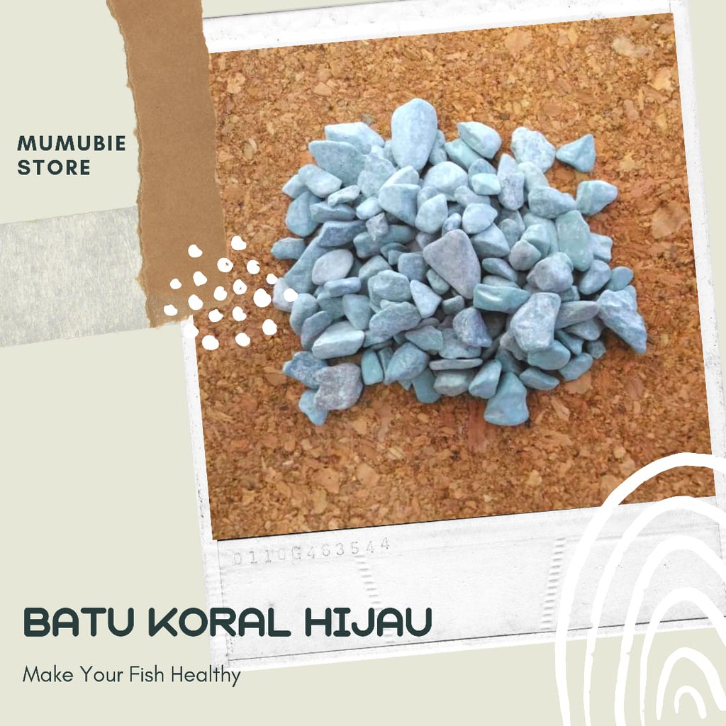 BATU KORAL HIJAU AQUARIUM AQUASCAPE
