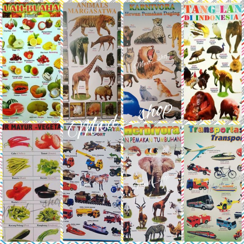 

POSTER EDUKASI