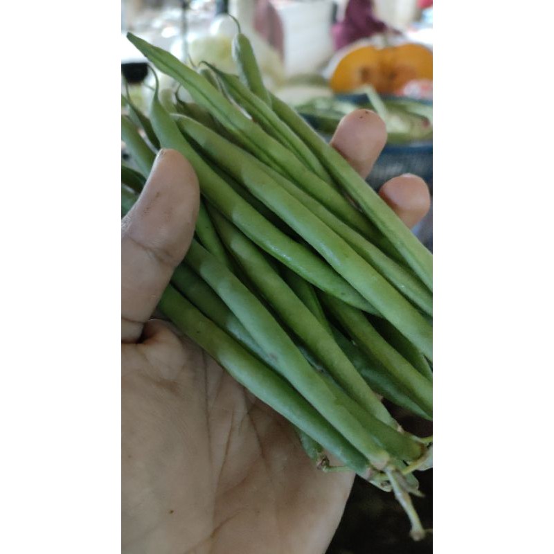 

buncis baby Kenya (250 gr)