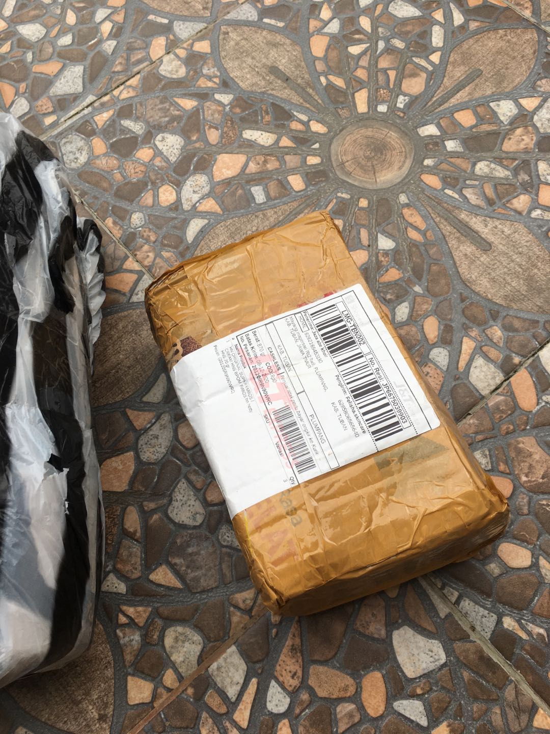 Papan Pakis Lempengan Pakis Media Tanaman