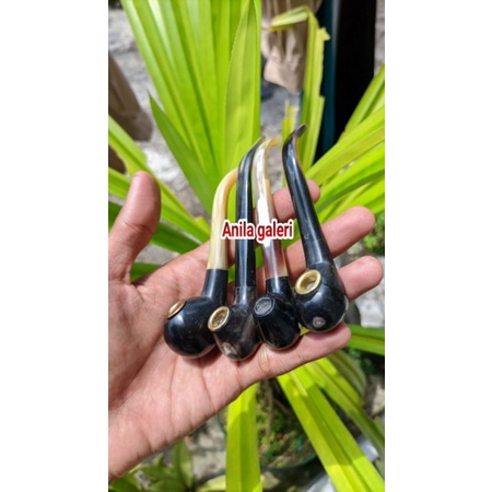 once pipa cangklong tanduk sapi mantapn