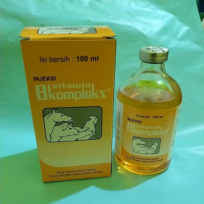 Vitamin B kompleks