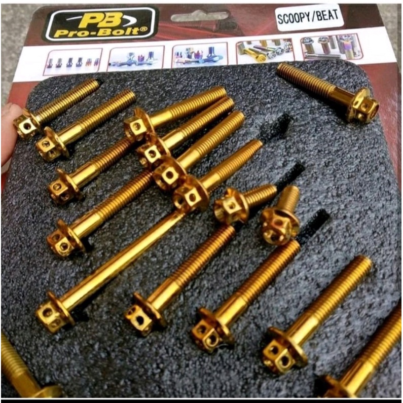 baut blok cvt probolt flower motor beat dan scoopy dlll