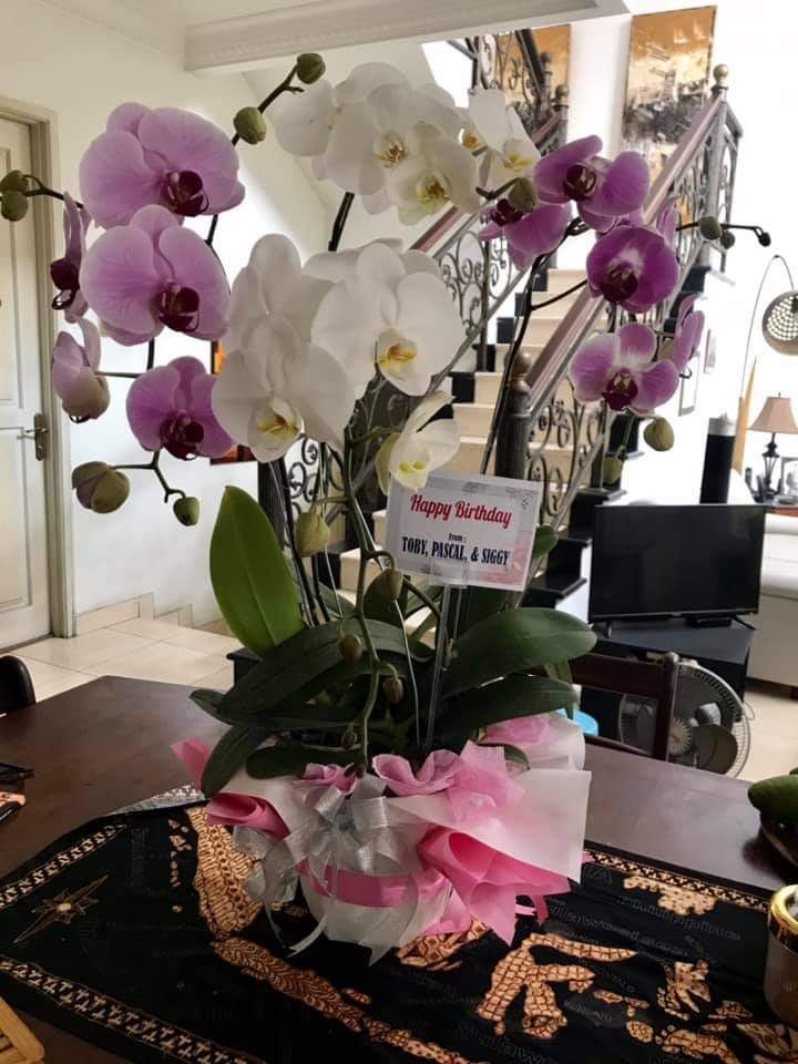 Pisau Dapur Baja Asli Cap Simok / Pisau Murah Baja Asli