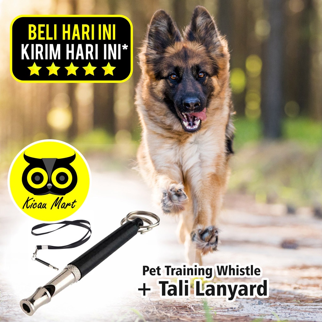 Peluit Ultrasonic Plus Tali Kalung Pluit Latih Anjing Kucing Peluit Lanyard Mainan Panggilan Burung Elang Falconry Kucing Anjing Pet Whistle Dog Training Whistle