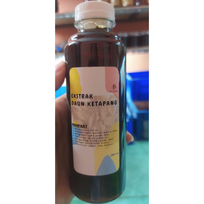 

[ BELI 10 GRATIS 1 ] - EKSTRAK DAUN KETAPANG LAUT - 250ml - TIDAK BERMINYAK & PEKAT