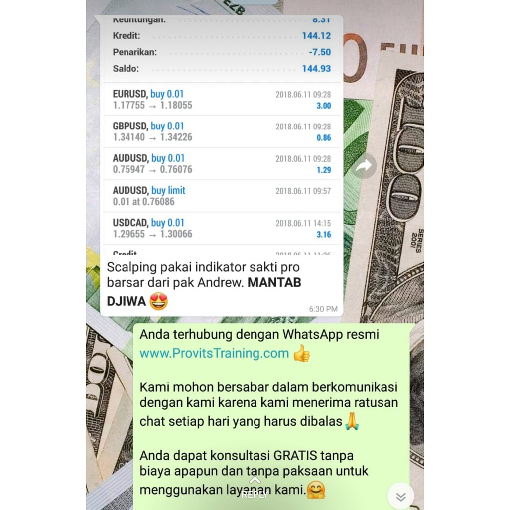 SALE ProBarSar Provits - Indikator Follow Trend Forex + 2gb usb New