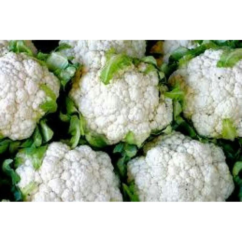 

Kembang Kol (harga per pcs / -/+ 500 gram)