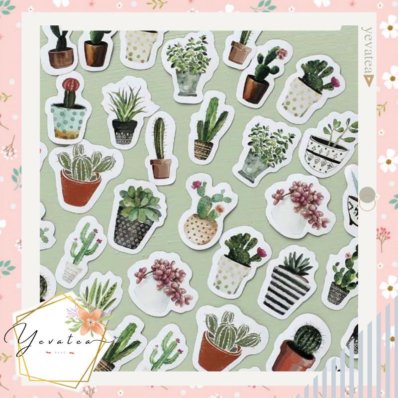 

Stiker Kaktus | Sticker Cactus