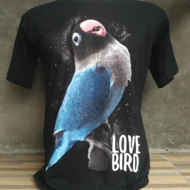 39++ Gambar burung lovebird mangsi terbaru