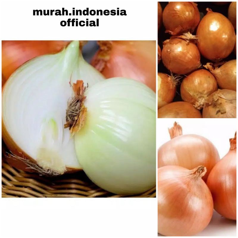 

Bawang Bombay Super Fresh Besar Organik murah/bombai bumbu dapur ekonomis lokal import Sayuran