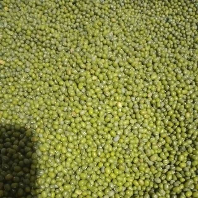 

TERMURAH!!! Kacang Hijau 250g, 500g, 1kg