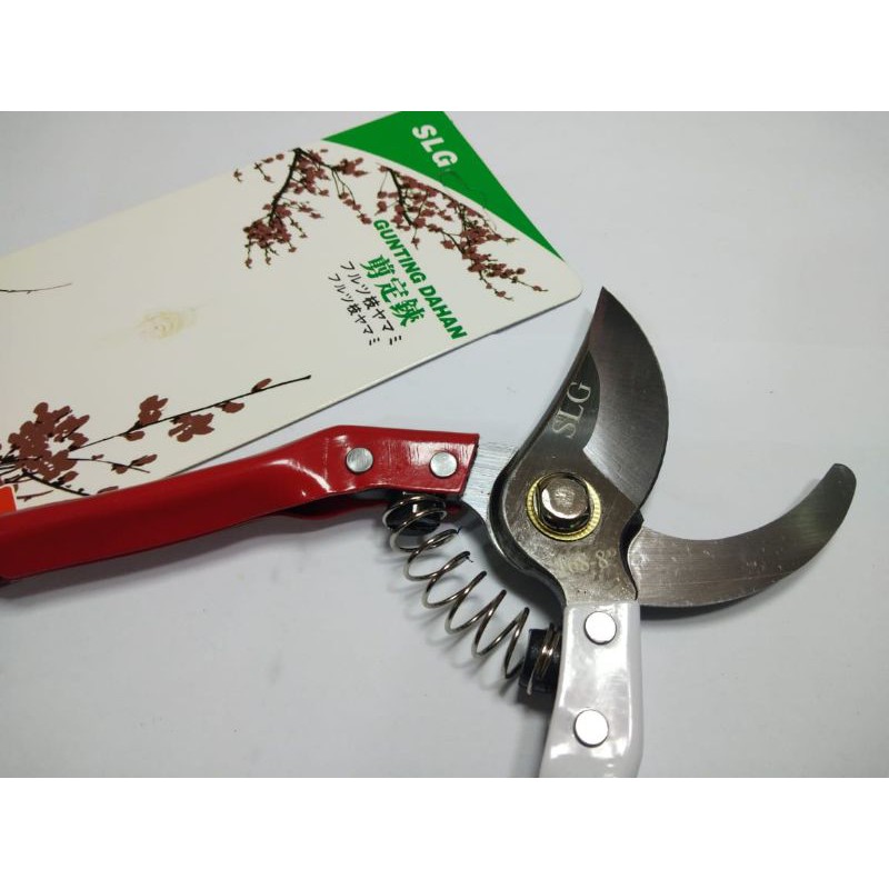 GUNTING DAHAN SOLIGEN / GUNTING KEBUN RANTING BUNGA KEMBANG