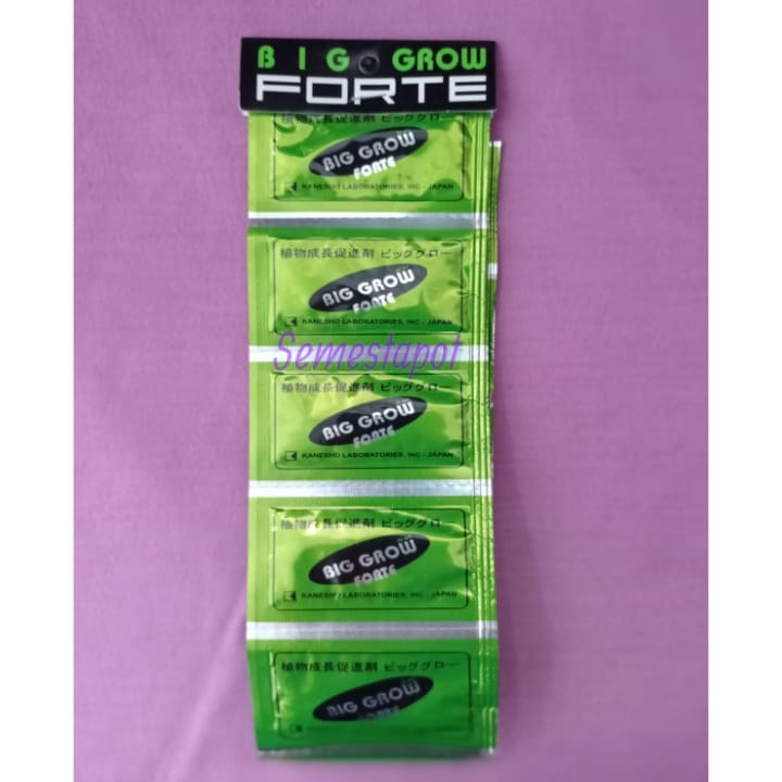 Pupuk ZPT BIG GROW FORTE Sachet Untuk Tanaman