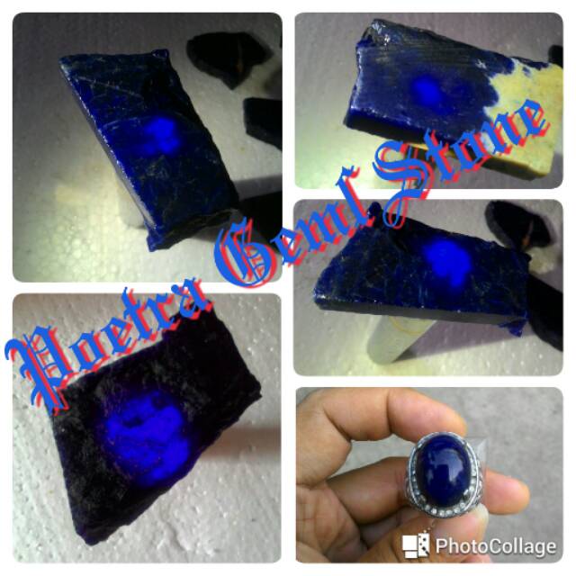 Most Wanted !!! PIRUS PINGLON TURKEY BIRU HQ