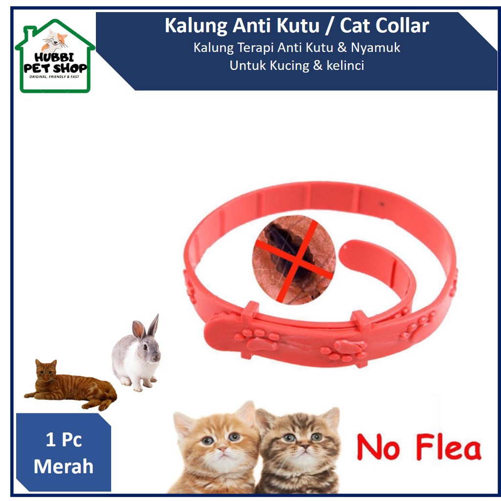 KALUNG KUCING ANTI KUTU / KALUNG ANTI FLEA TICK /KALUNG ANTI KUTU KUCING