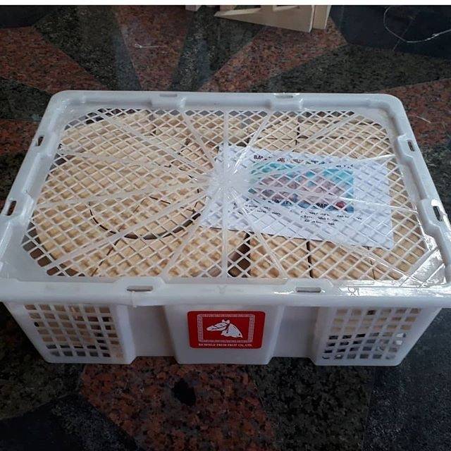 nafisah edutoys mainan edukasi edukatif BALOK PINUS ISI 100 balok pdk polos natural