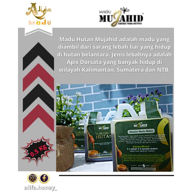 

madu murni MUJAHID 1/2 kg