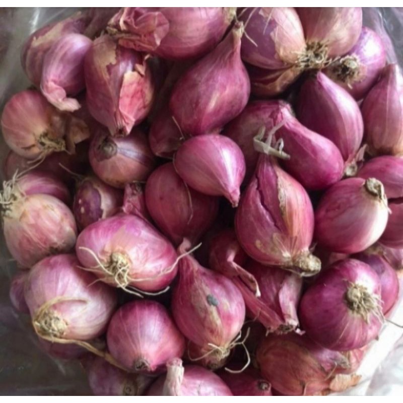 

Bawang Merah 500GR