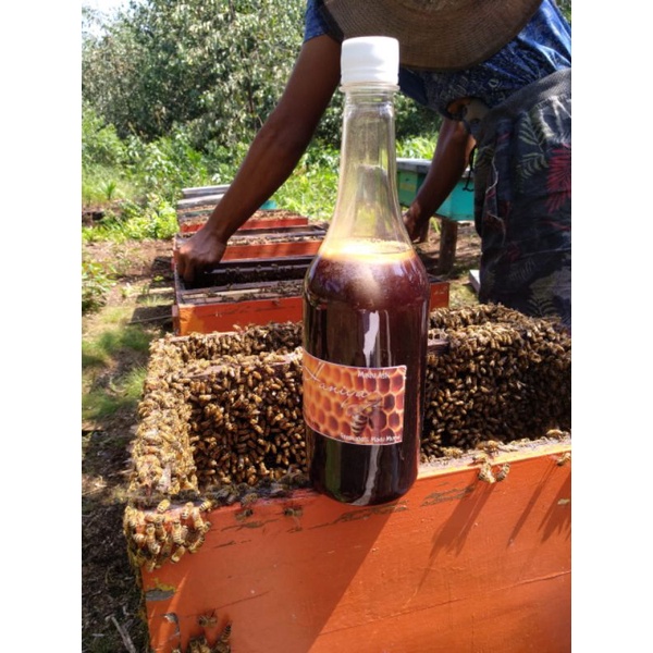

Madu Akasi Jambi