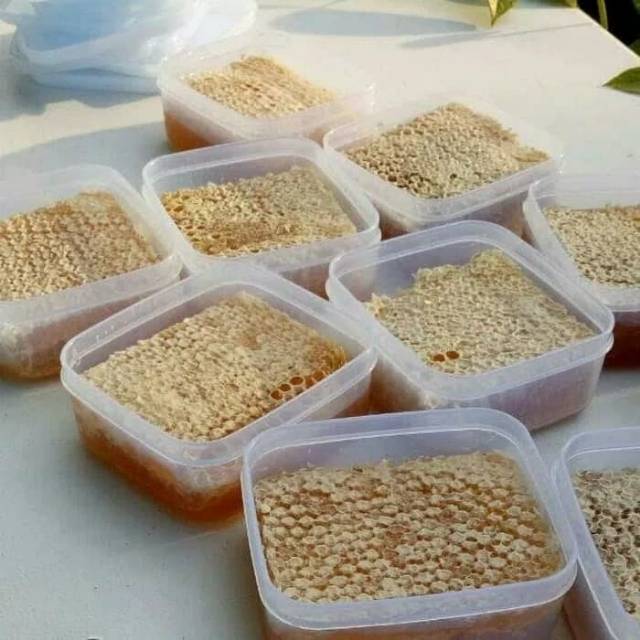 

SARANG LEBAH MADU MELIFERA 250 Gr - RAW HONEYCOMB